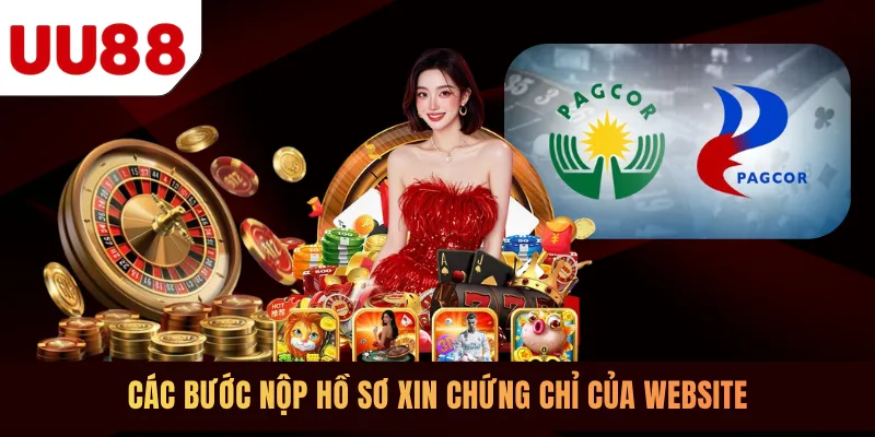 Các bước nộp hồ sơ xin chứng chỉ của website